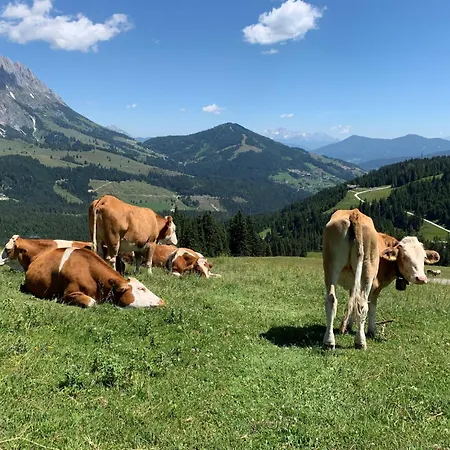 In Muehlbach Near Slopes, Cleaning Included